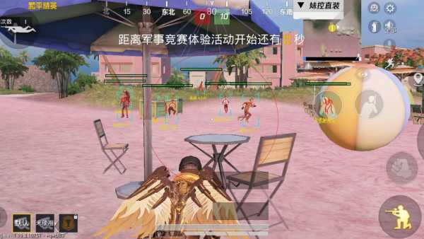 和平精英辅助【火焰鸟一体直装】人物透视 无后坐力 开枪自瞄 开车飞天 飞天跳伞 皮肤美化 物资显示 队伍信息